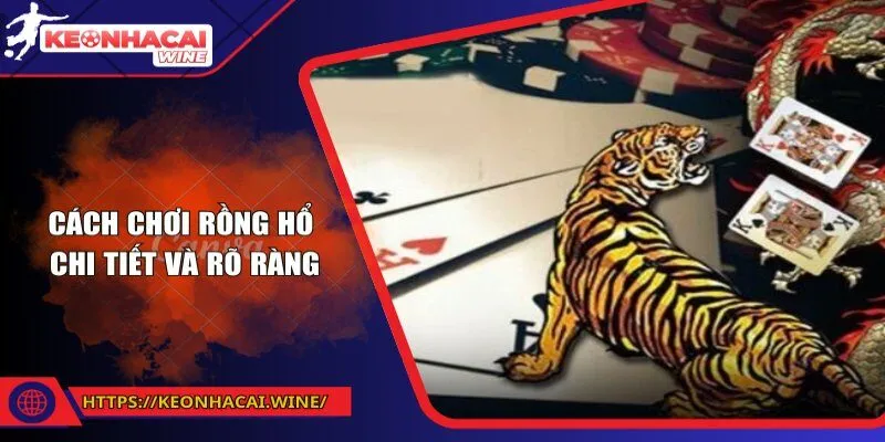 Cách chơi Rồng Hổ chi tiết và rõ ràng